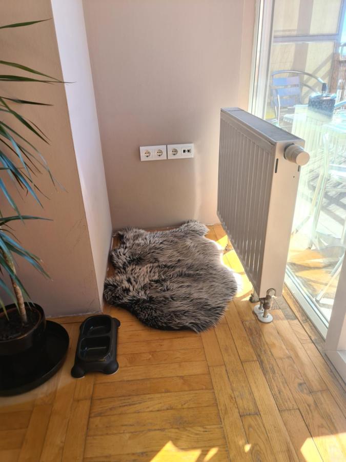 Apartman *Joy* Ossero Esterno foto