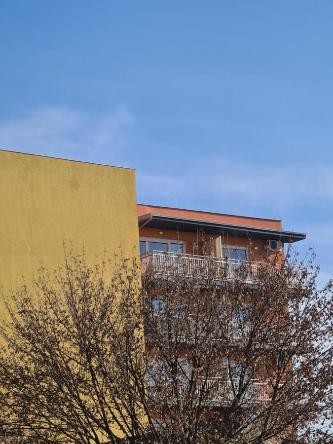 Apartman *Joy* Ossero Esterno foto